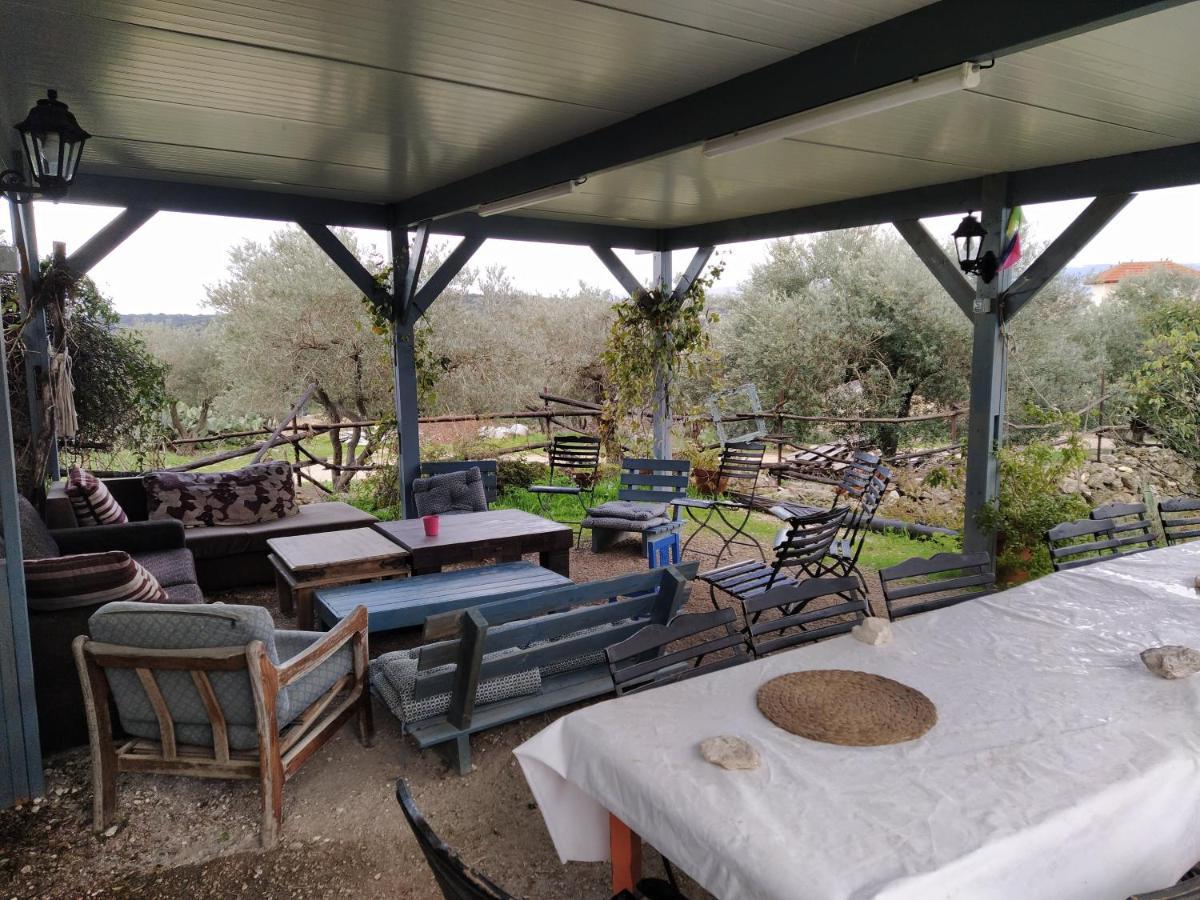 Galilee Bedouin Camplodge Tabash Luaran gambar